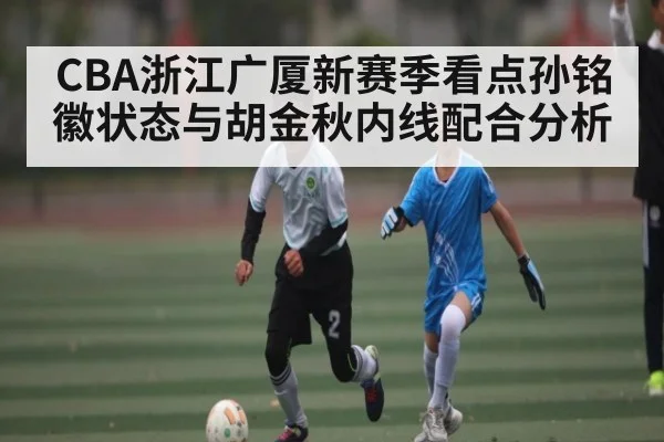 CBA浙江广厦新赛季看点孙铭徽状态与胡金秋内线配合分析